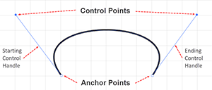 Diagram of Control Handle, Control Points, and Anchor Points